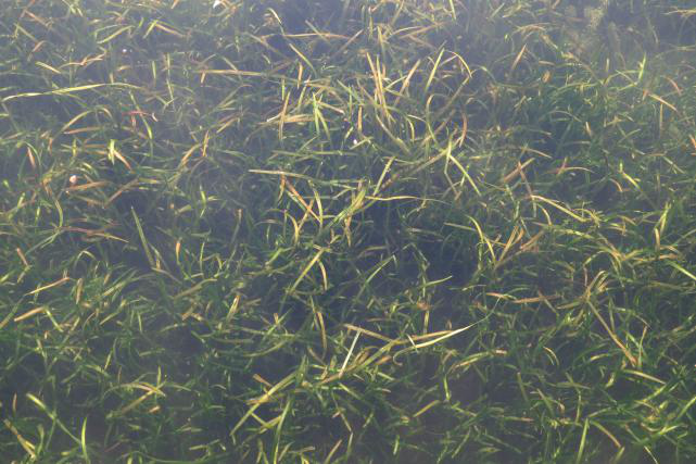 彩乐园·(中国区)官方网站