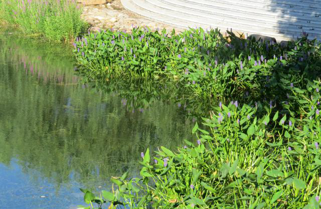 彩乐园·(中国区)官方网站