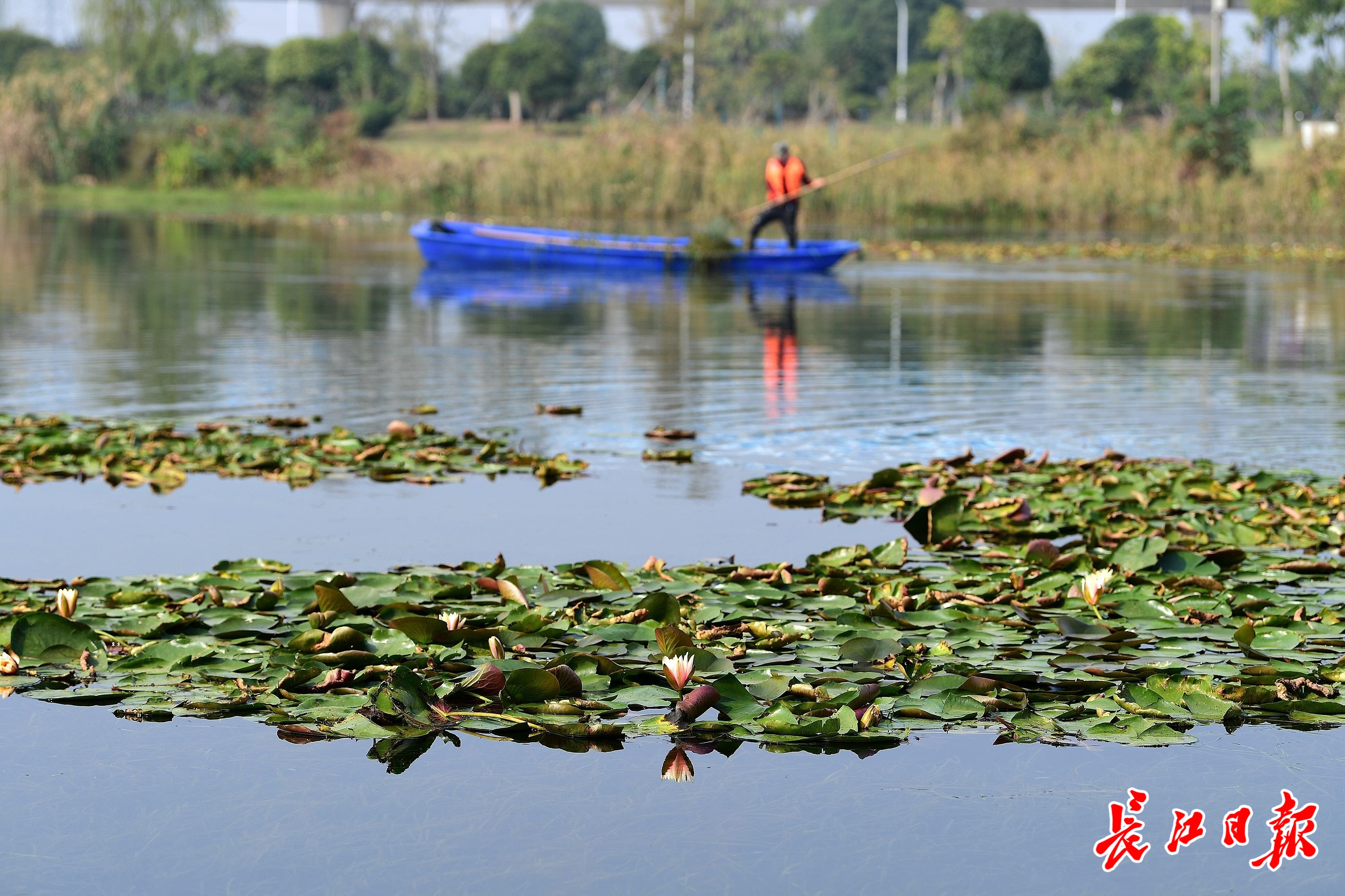 彩乐园·(中国区)官方网站