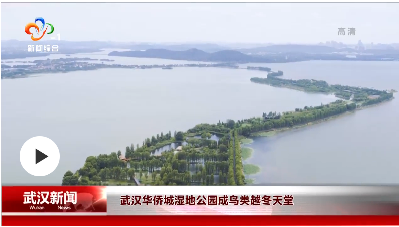 彩乐园·(中国区)官方网站