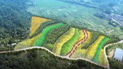 彩乐园·(中国区)官方网站