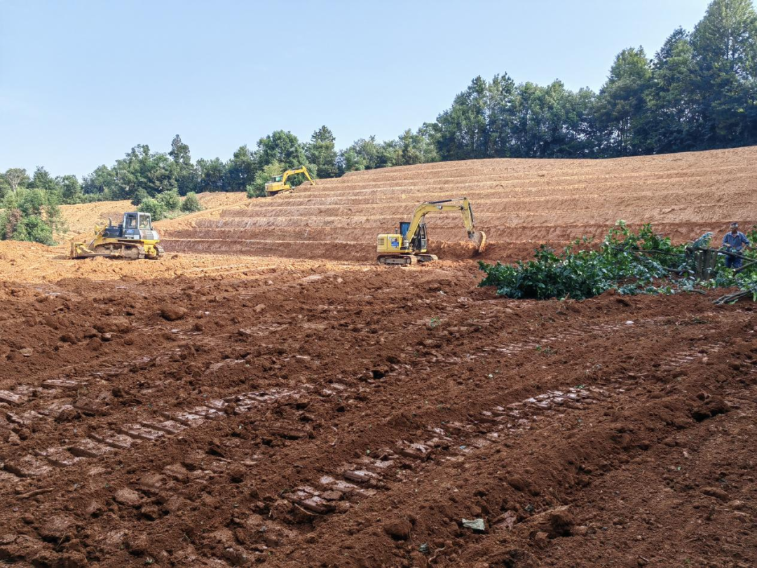 彩乐园·(中国区)官方网站