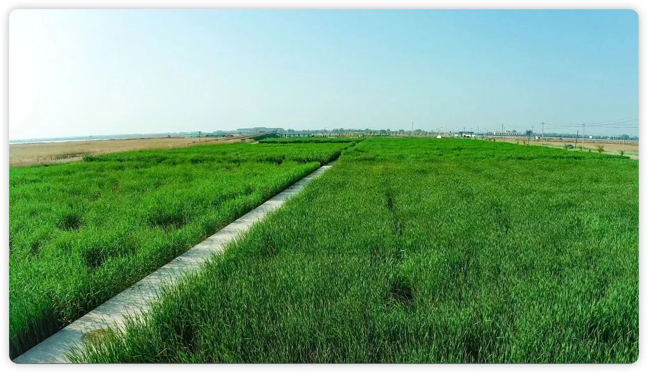 彩乐园·(中国区)官方网站