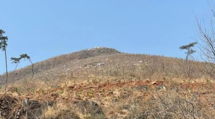 彩乐园·(中国区)官方网站